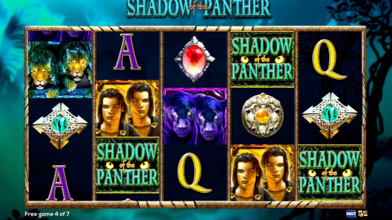 Shadow of the Panther